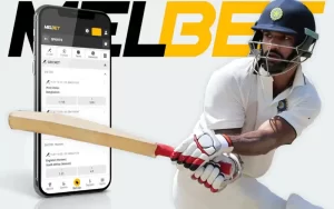 Melbet Cricket