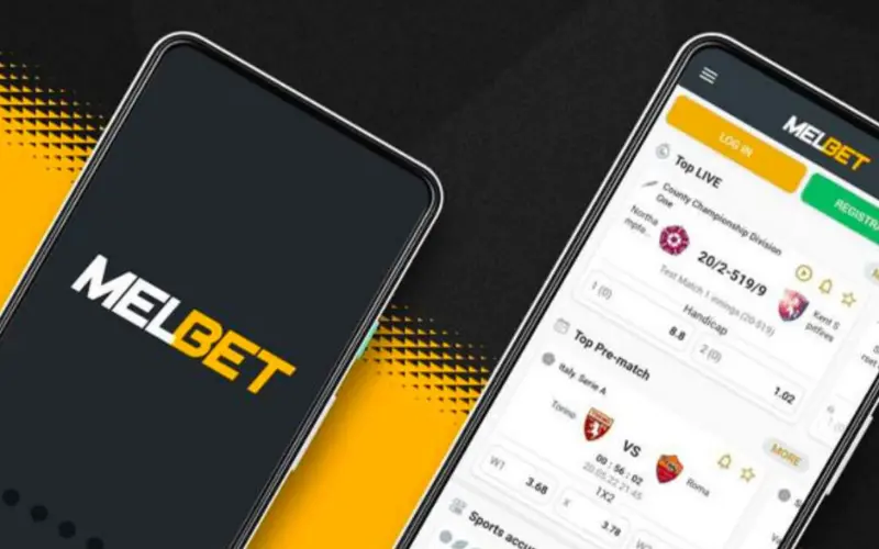 Melbet Cricket