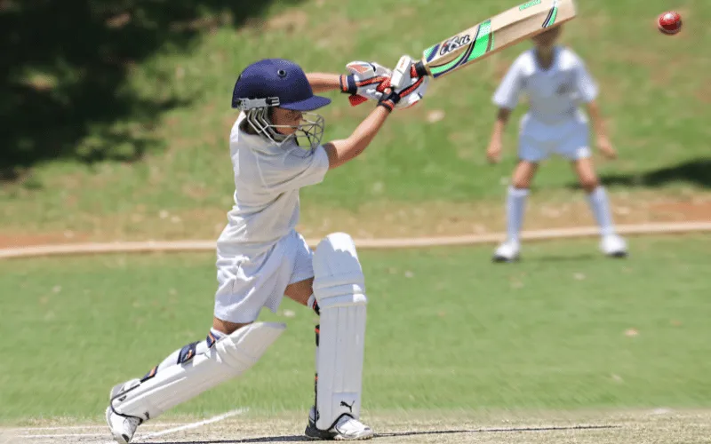 Cricket Results